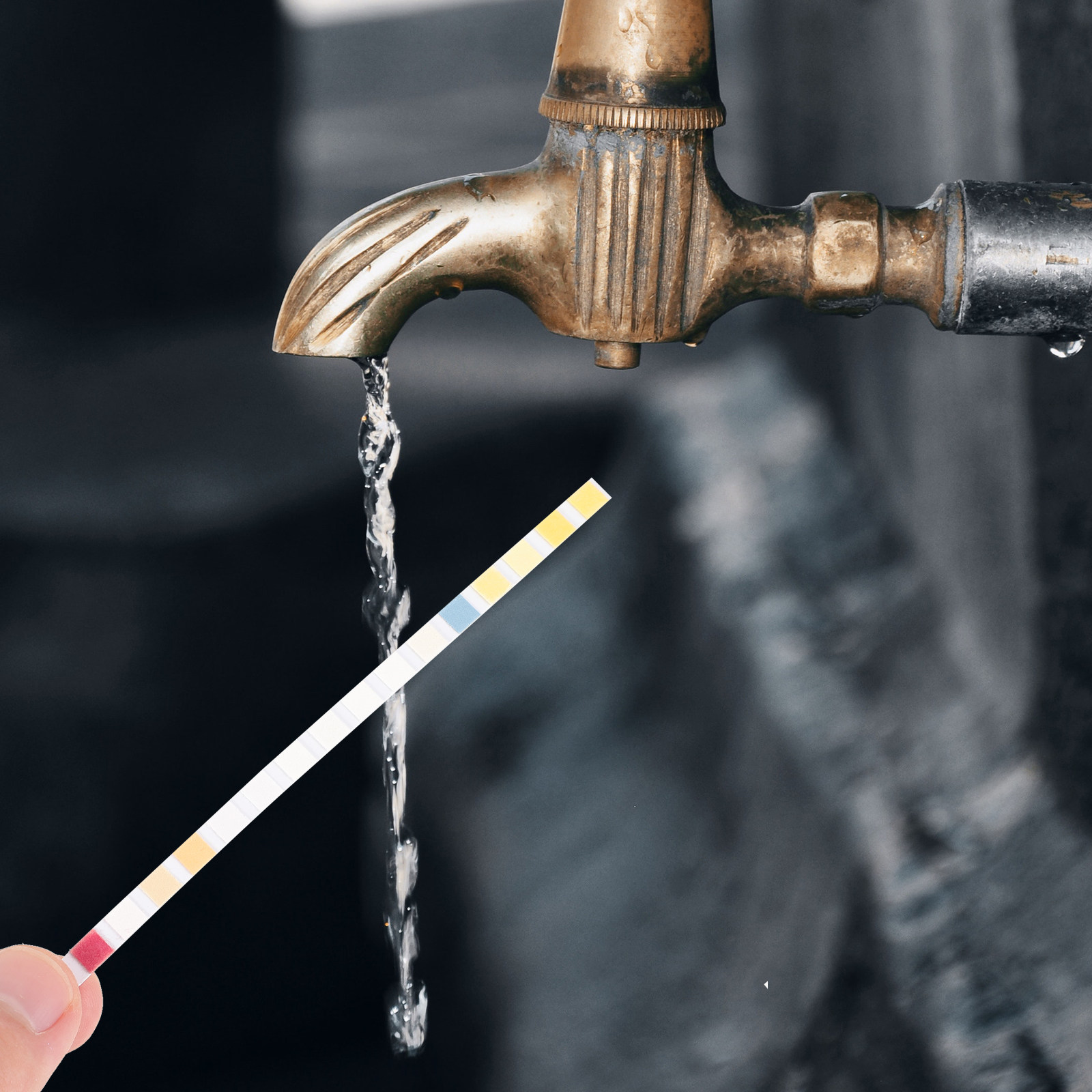 100 тест-полосок для проверки  – обзор и цена Water Testing Kit